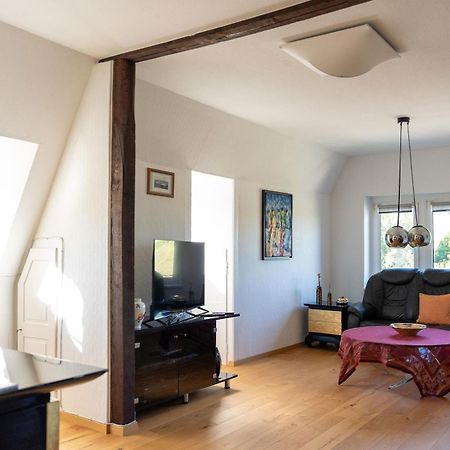Apartment In Villa Rochlitz Exteriör bild
