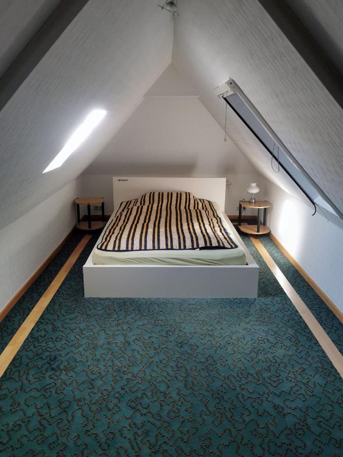 Apartment In Villa Rochlitz Exteriör bild