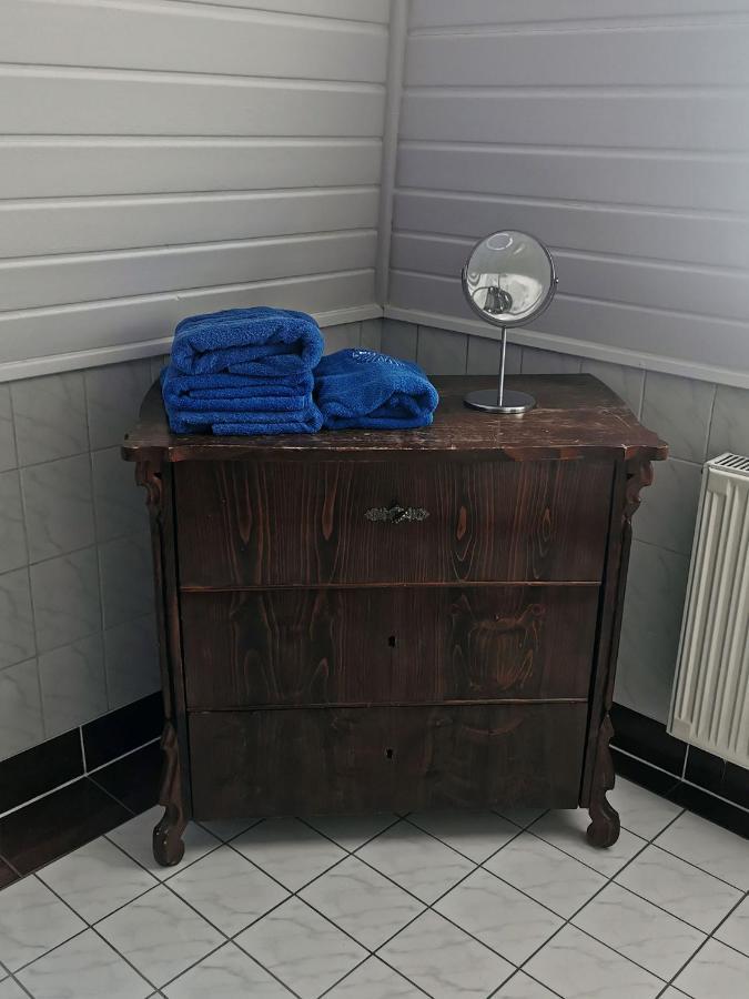 Apartment In Villa Rochlitz Exteriör bild