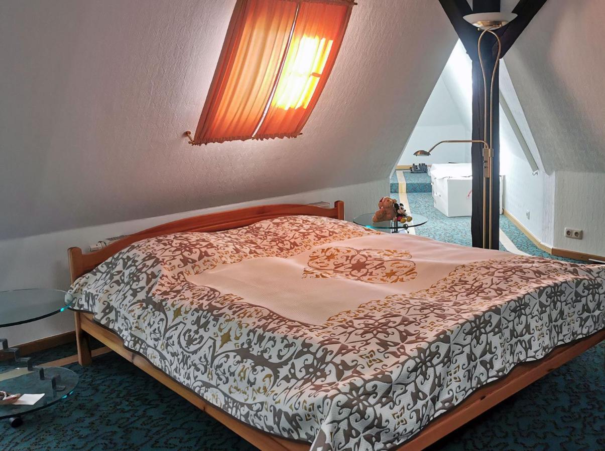 Apartment In Villa Rochlitz Exteriör bild