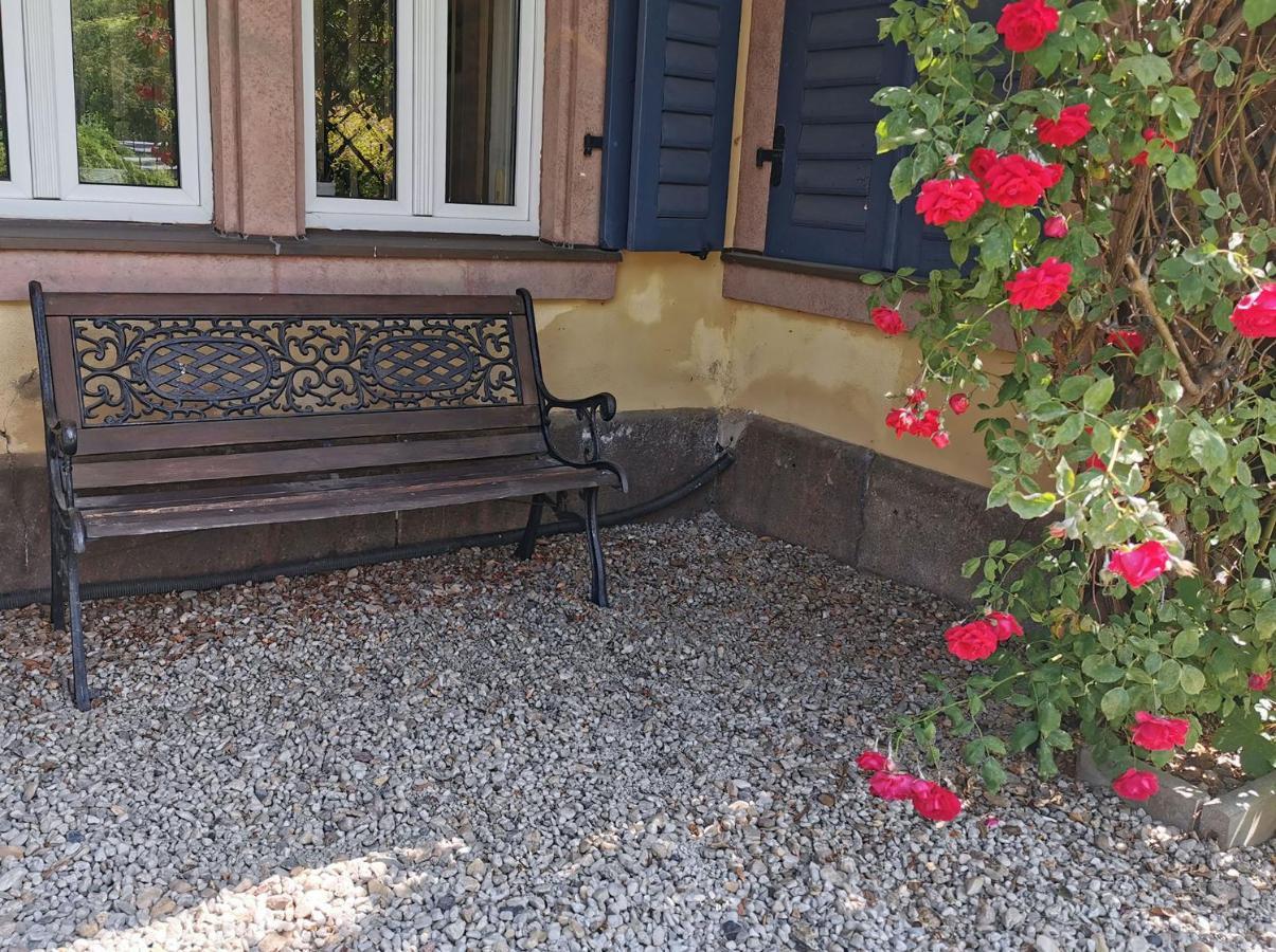 Apartment In Villa Rochlitz Exteriör bild